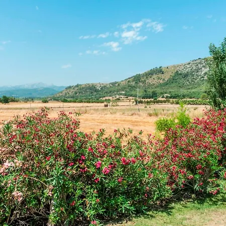 Corro Alcúdia